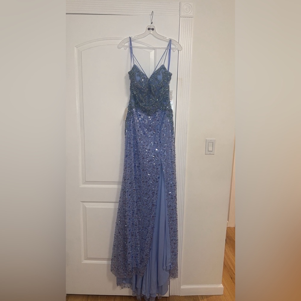 Stunning Periwinkle Sequin Gown